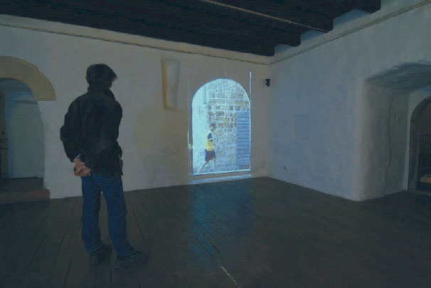 Nika Radic Door